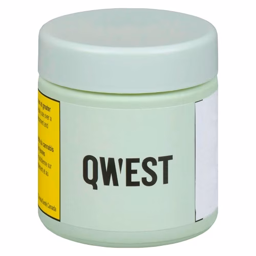 Qwest - Grape Cream Cake Craft