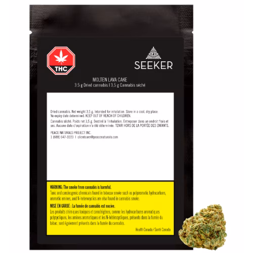 SEEKER - Molten Lava Cake