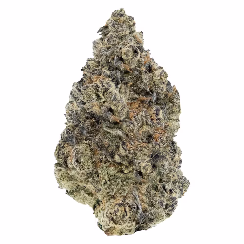 Woody Nelson - Sunset Sherbet Craft Flower
