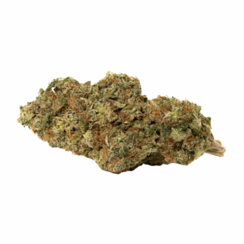 Greybeard - Afghani Drifter