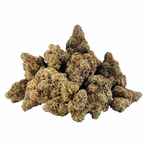 BC OZ - Key Lime Gelato Craft Flower