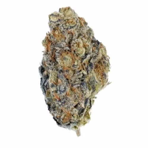 Wagners - Purple Clementine (Mimosa)