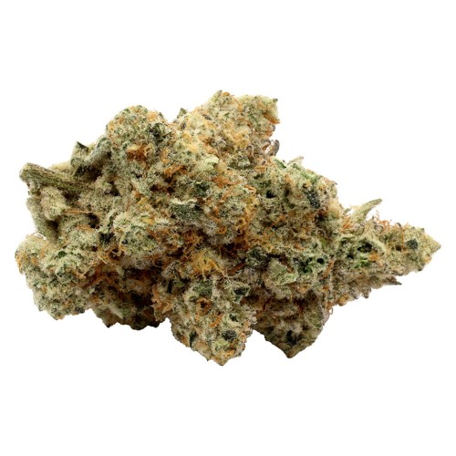 Les Cultures Seaweed Gaspésie Inc. - Animal Junky Premium Craft Dried Whole Flower