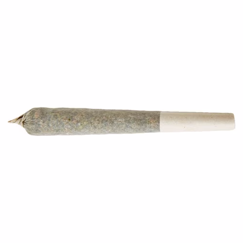 Red Hawaiian Distillate Infused Pre-Roll