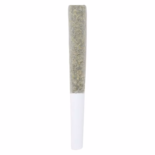 Crooked Dory - AAA+ Indica Pre-Roll