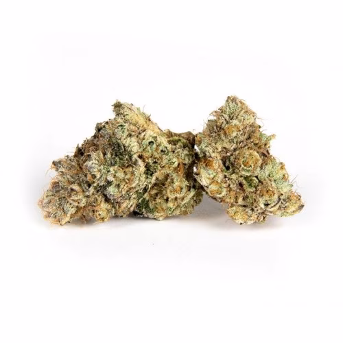 Broken Coast - Stargazer