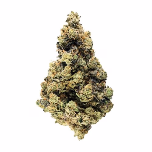 Broken Coast - Sour OG (Ruxton)