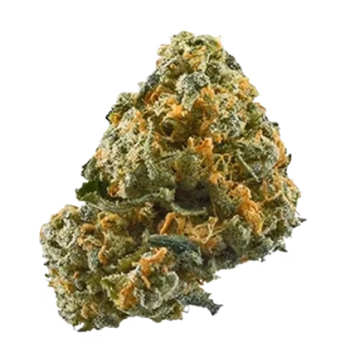 Canadian Cannabis - Organic Mango Hashplant