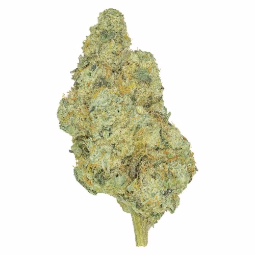 San Rafael '71 - Ginger Breath CKS