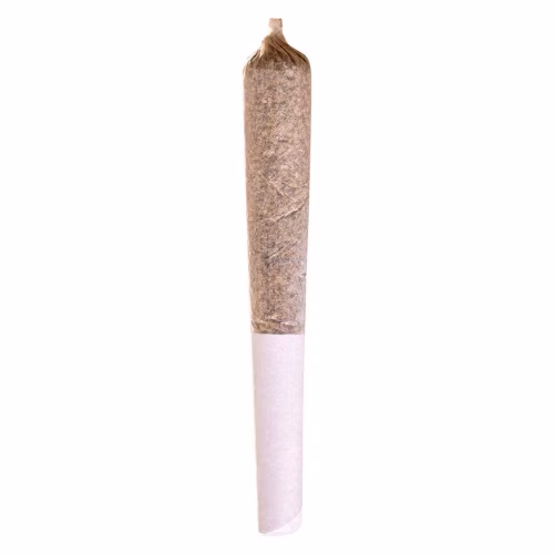 Station House - LA Confidential Pre-Roll