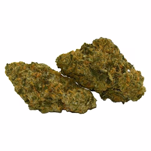 Ritual Green - Sacred Sage