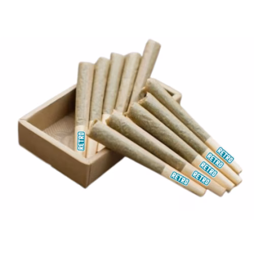 RETRO - The Dog Walker Pre-Roll