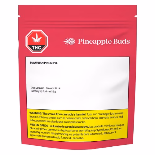 Pineapple Buds - Hawaiian Pineapple
