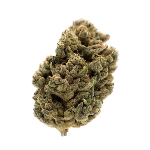 MTL  - Jungl' Cake - 3.5g