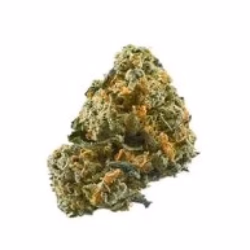 Elevator - Lime Skunk