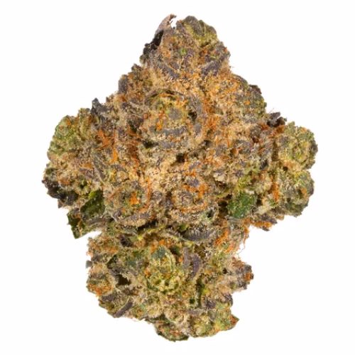 Daily Special - Pink Pepper OG