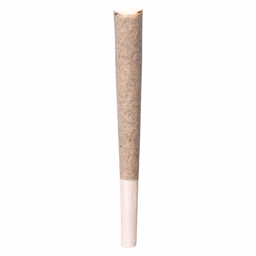 BLK MKT - Rainbow P Pre-Roll