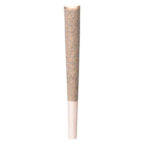 BLK MKT - Rainbow P Pre-Roll