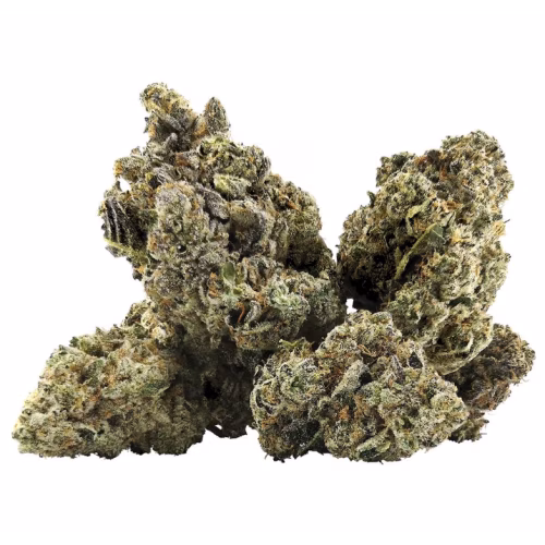 BC Black - Galactica OG