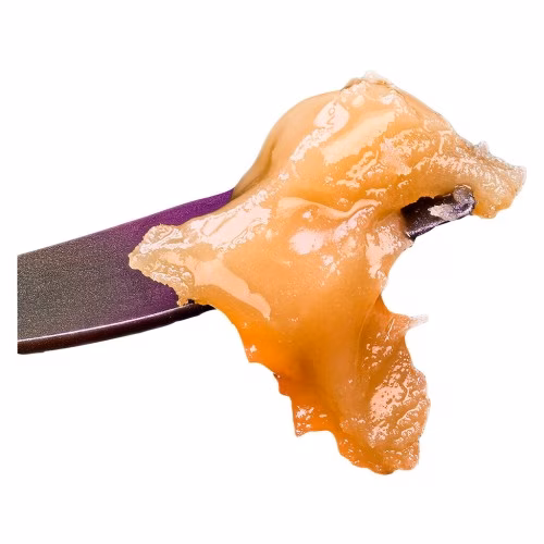 Sauce Rosin Labs - Live Rosin Seasonal Gas Pack