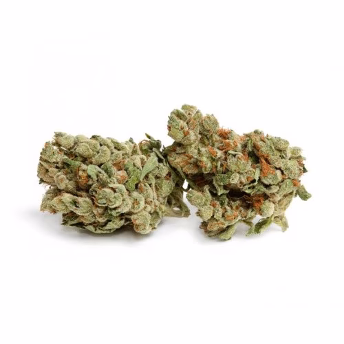 UP - Ghost Train Haze UP20