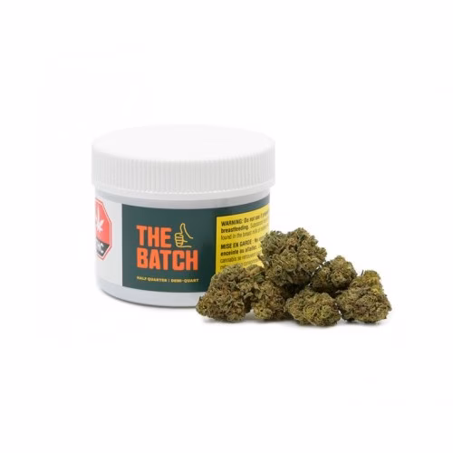 The Batch - Half Quarter