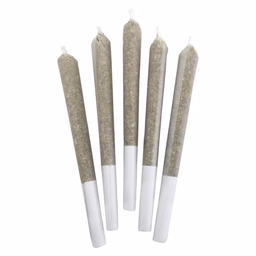 DEALR - Blueberry Frost Pre-roll