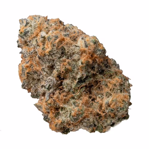 OGEN Ltd. - Megaton Melon #4