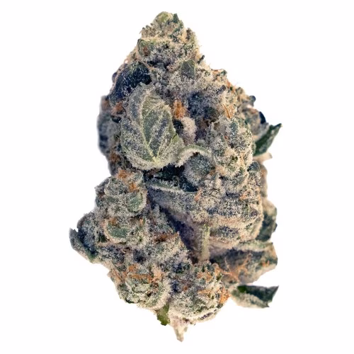 Flint & Embers - GSC Kush