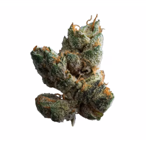 Muskoka Grown - Sugar Cookies