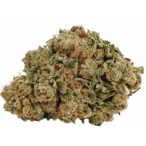 Back Forty - Banana OG