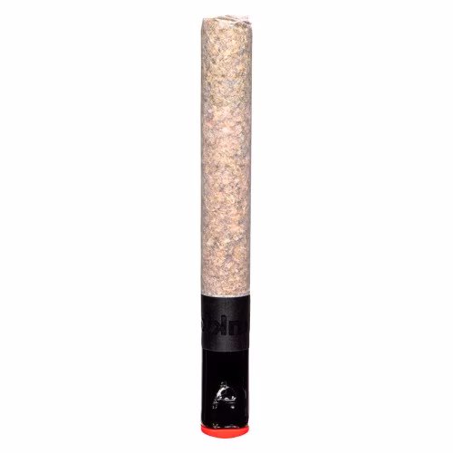 BLK MKT - The Magnum Pre-Roll