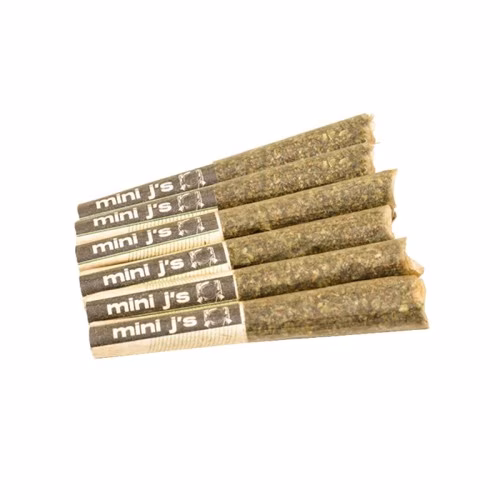 Violet Tourist - Infused Mini J's Tropical Pack