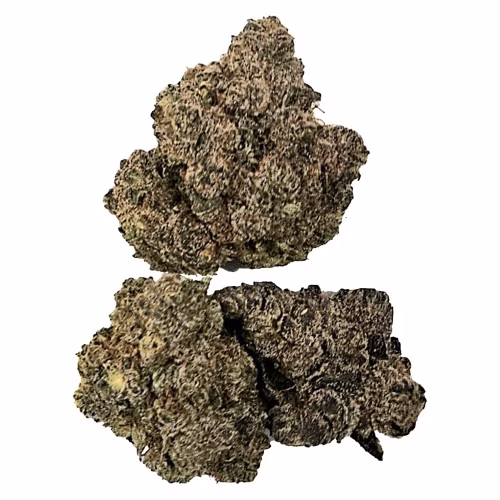 Buzz - Honey OG