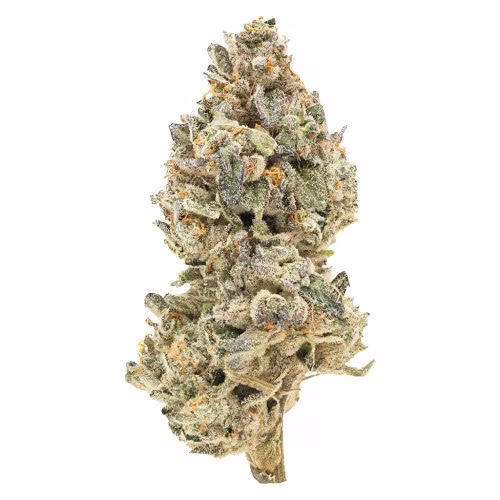 Simply Bare - BC Organic Pineapple Sour