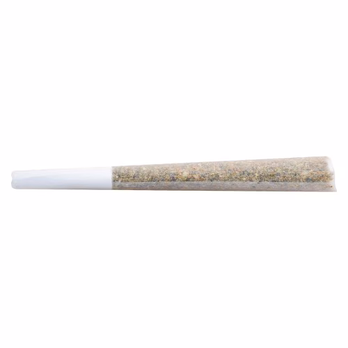 The Loud Plug - Gold Seal Hash Snake