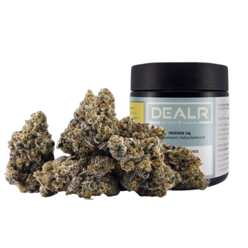 DEALR - Frostade