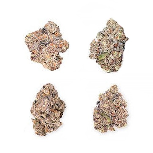 Exotic Craft Collection Pack