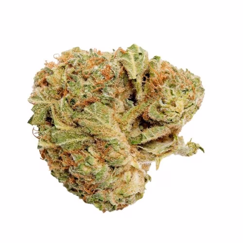 Good Supply - Grower's Choice Indica