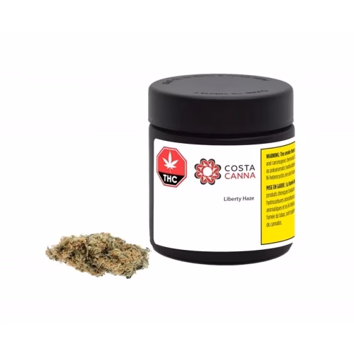 Costa Canna - Liberty Haze