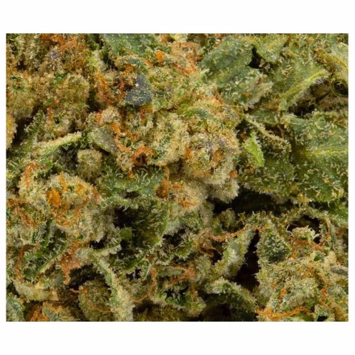 Canaca - Purps