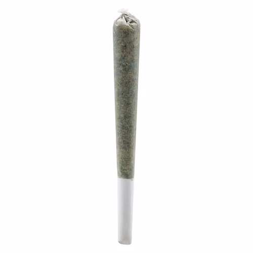 Rosin Roll Infused
