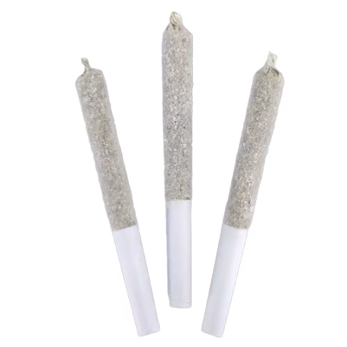 DEALR Infused - Raspberry Lime Paloma Infused Pre-Roll