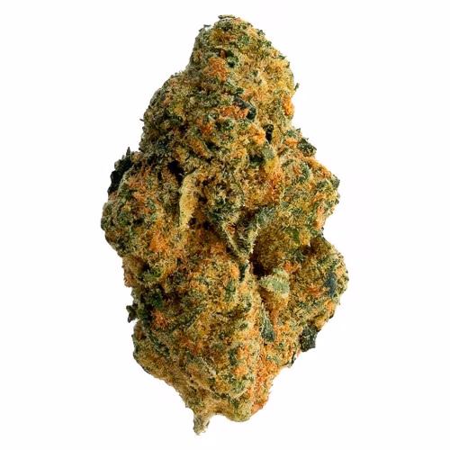 The Loud Plug - Milk Cake