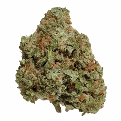 UP - Northern Berry