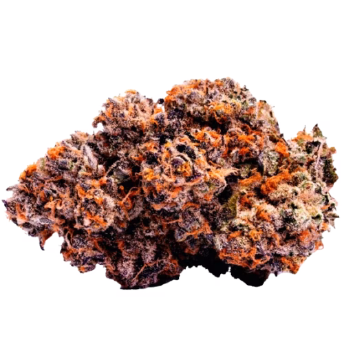 BLK MKT - Gastro Pop