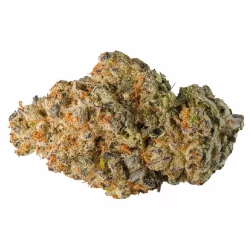 Weed Pool - Cherry Bomb Gelato