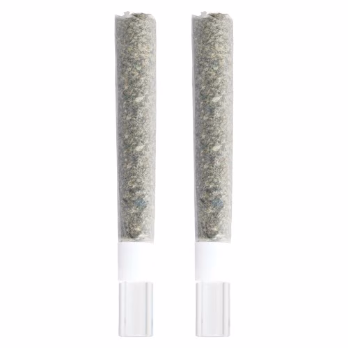 3rd Coast Genetics - Gold Cash Gold & Pure Michigan Glass Tip Pre-Roll Mix Pack