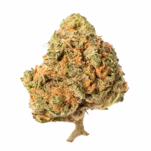 Palmetto - Blue Dream