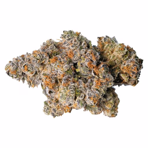 LOT420 - Gelato 33
